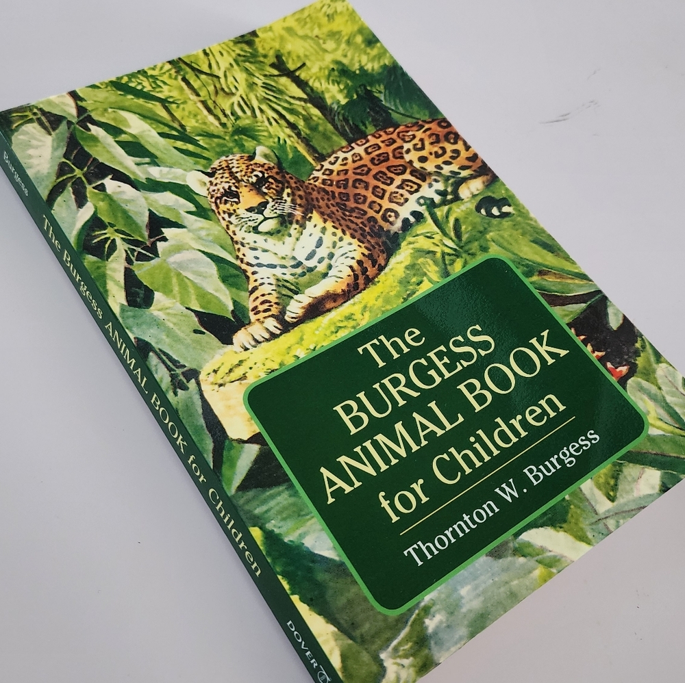 Urge Illustrated Children's Animal Book — Green Cover Accent